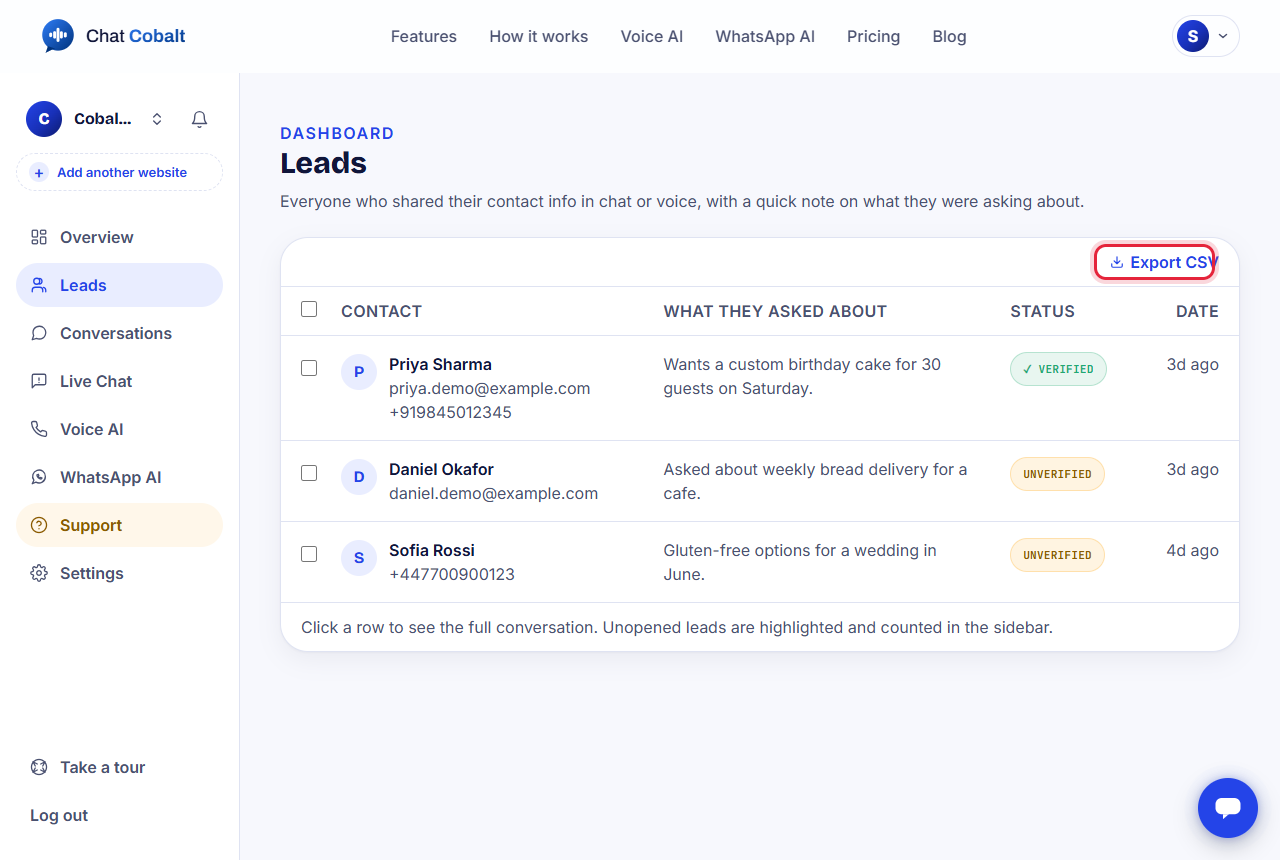The Leads page listing people with what they asked about