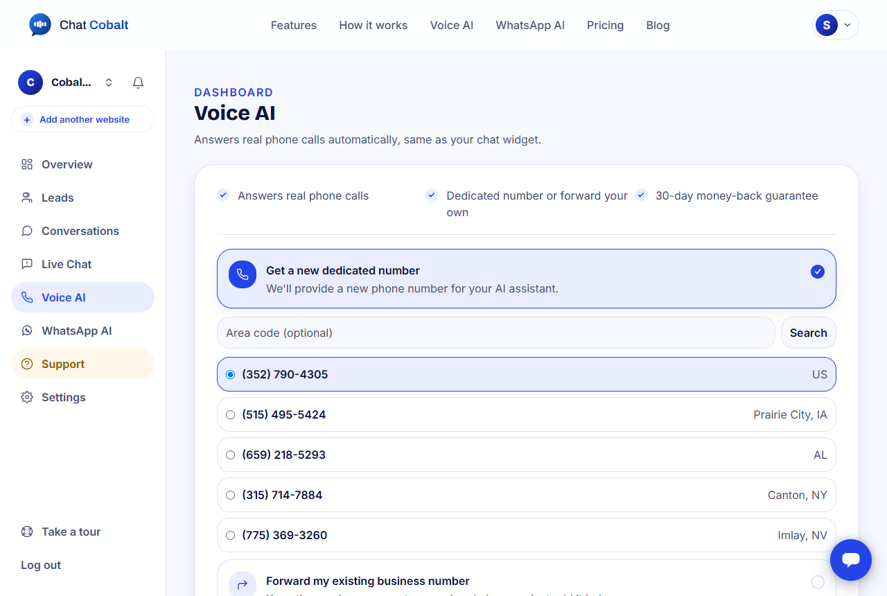 The Voice AI page with the choice of a new number or forwarding your own
