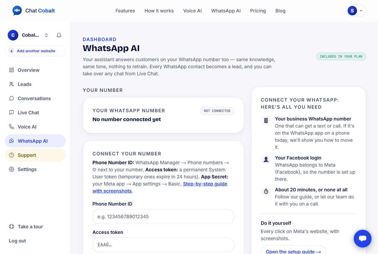 The WhatsApp AI page with the 'Set it up for me' button